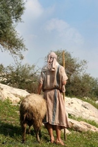 4114180-a-shepherd-in-traditional-dress-leads-a-ram-through-the-hills-of-galilee-israel